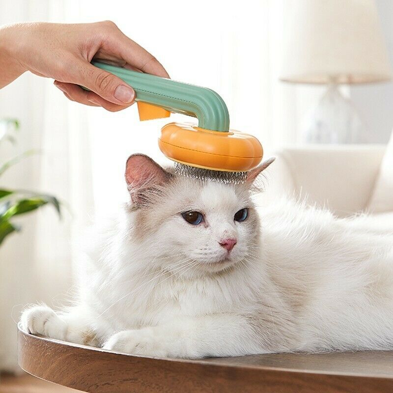 Pet Pumpkin Brush, Pet Grooming Self Cleaning Slicker