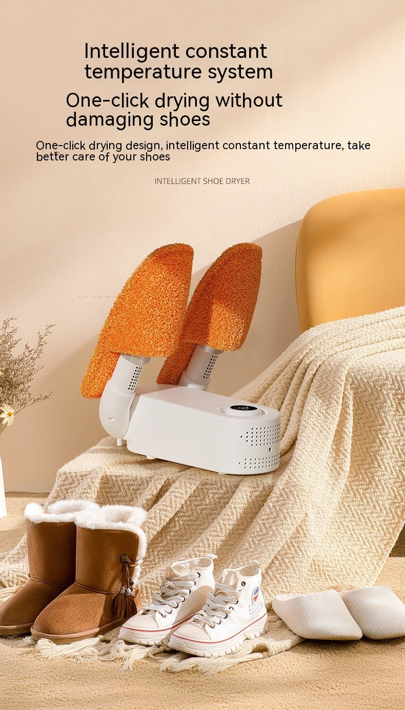 electric shoe dryer